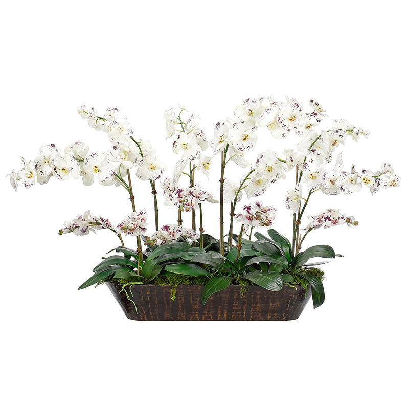 WF1458 Orchid Phalaenopsis White Burgundy - Nabco Furniture Center