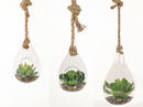 Succulent Hanging Artificial Plants (Set of 3) - Nabco Furniture Centre