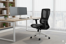 SJB116-QW Office Chair