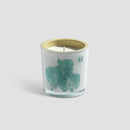 Scented candle Woody Saffrom Oznu - Nabco Furniture Centre