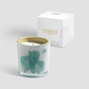 Scented candle Woody Saffrom Oznu - Nabco Furniture Centre