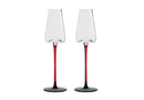 Midaria Champagne glasses (Set of 2)