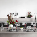 Midaria Red wine glasses (Set of 2)