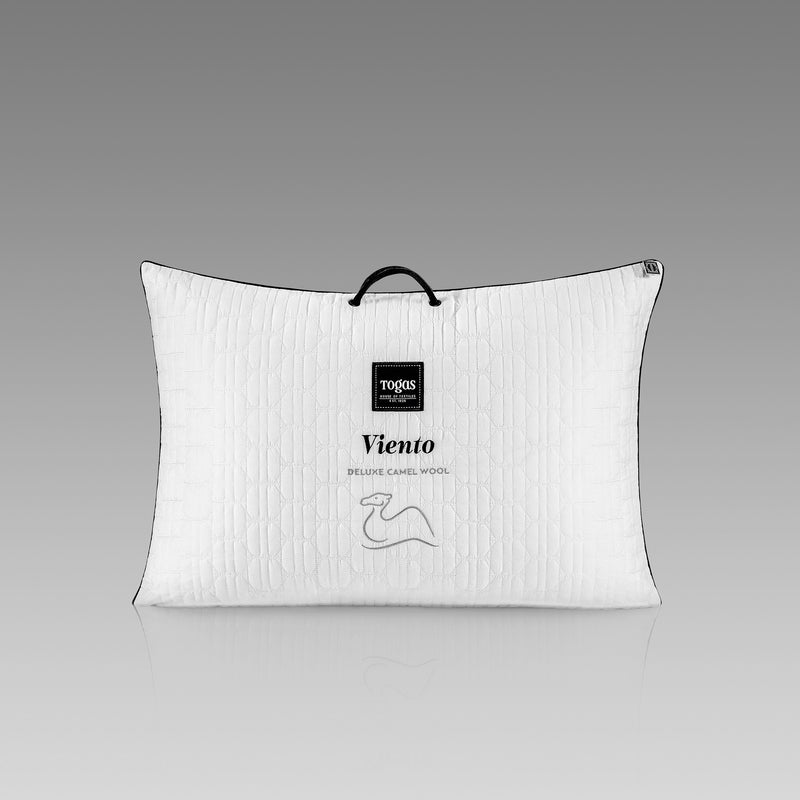 Pillow VIENTO