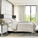 Novara Platinum Comforter Set (Set of 3)