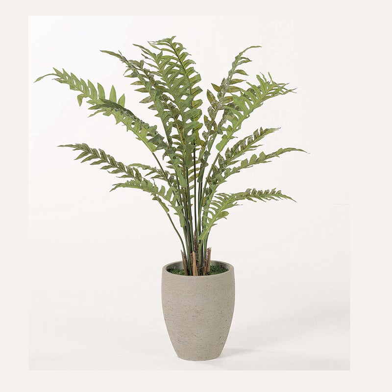 P117A22-72S-SM Sword Fern in 72S Planter with Artificial Plants