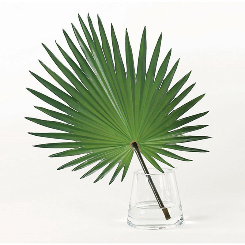 WG550B20 Fan Palm Accent in Water Artificial Flower with Vase