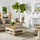 273320-2908 Palisade Lift-Top Coffee Table