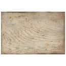 3013-85001 Sanctuary Four-Door Mirrored Console - Surf-Visage