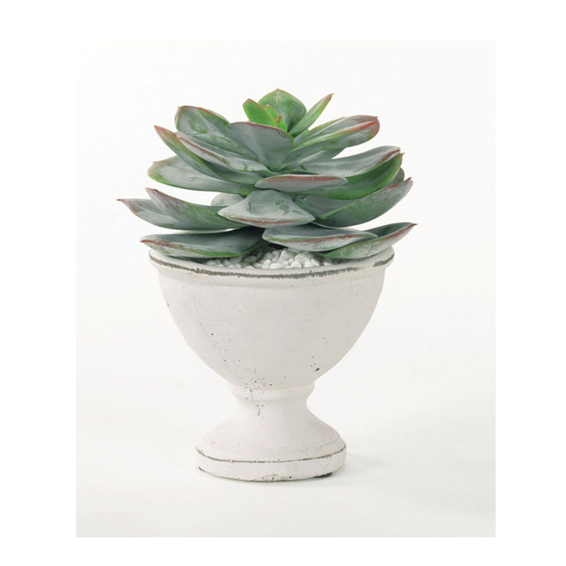 G04A9 Small White Artisan Urn with Succulent - Nabco Furniture Center
