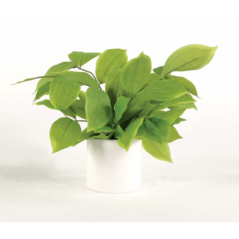 G153A21W Greenery In Small White Cylinder - Nabco Furniture Center