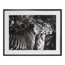 GIAS2032420 Framed Wall Arts - Nabco Furniture Center