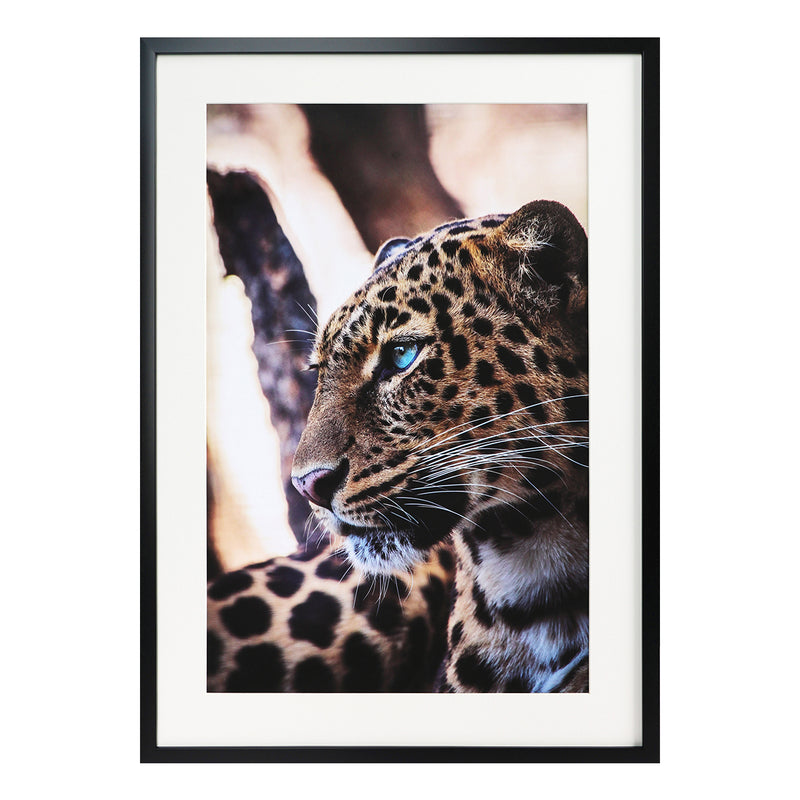 GIFA2030619 Framed Wall Arts - Nabco Furniture Center