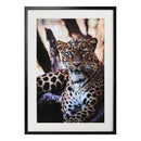 GIFA2030620 Framed Wall Arts - Nabco Furniture Center