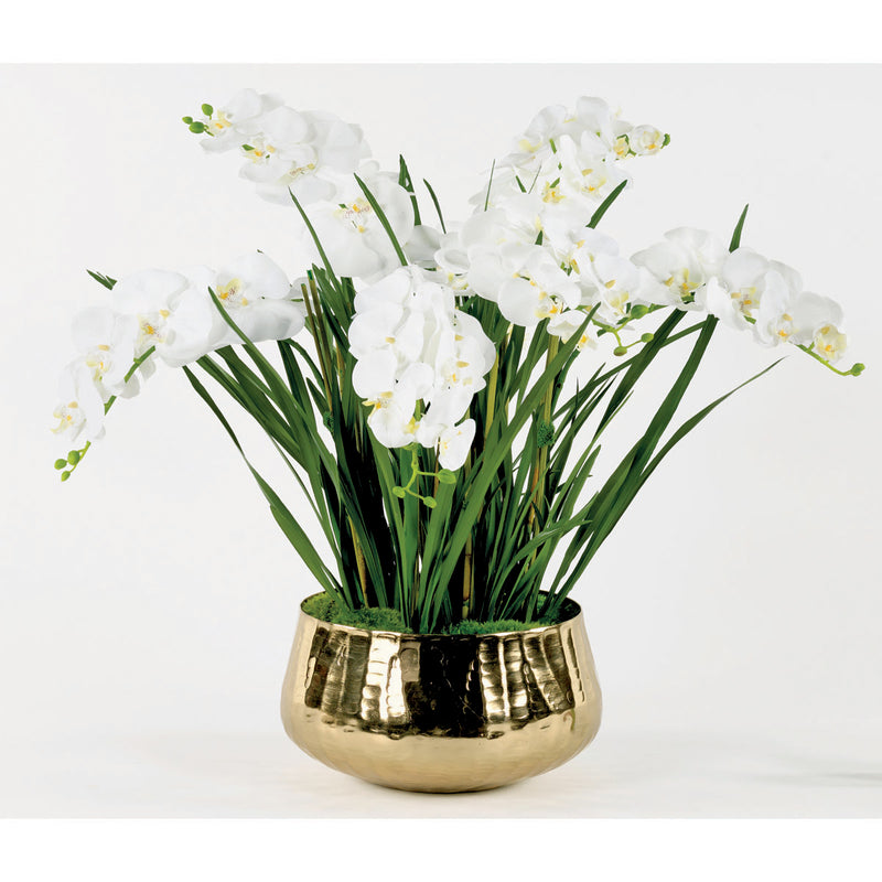 R686B9 White Phalaenopsis - Nabco Furniture Center