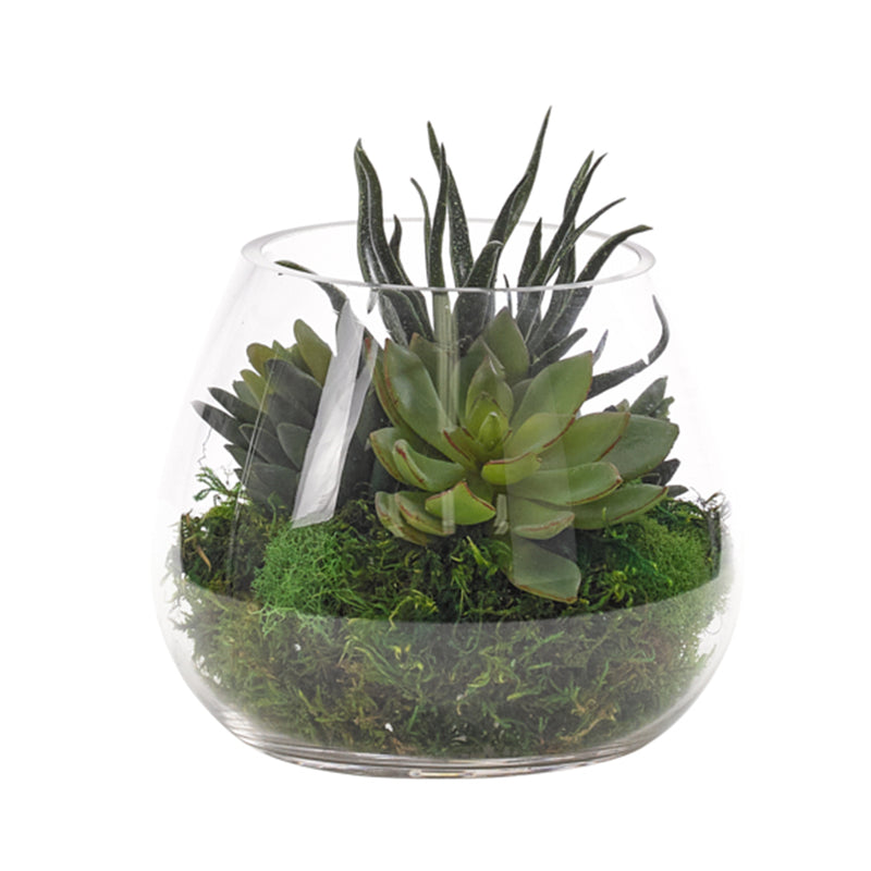 GS245MG Succulent - Nabco Furniture Center