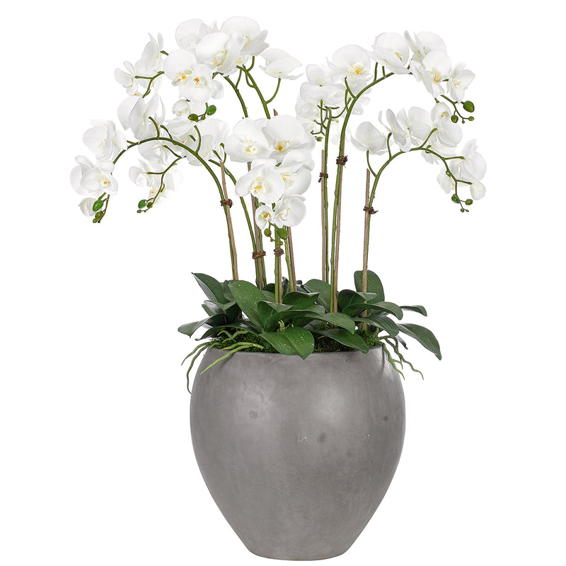 WF1481 Orchid Phalaenopsis White - Nabco Furniture Center