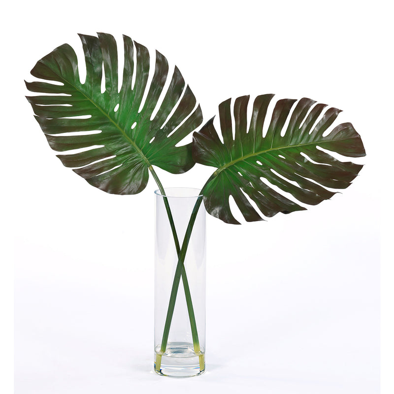 WG514A7 Amazon Split Leaf In Water - Nabco Furniture Center