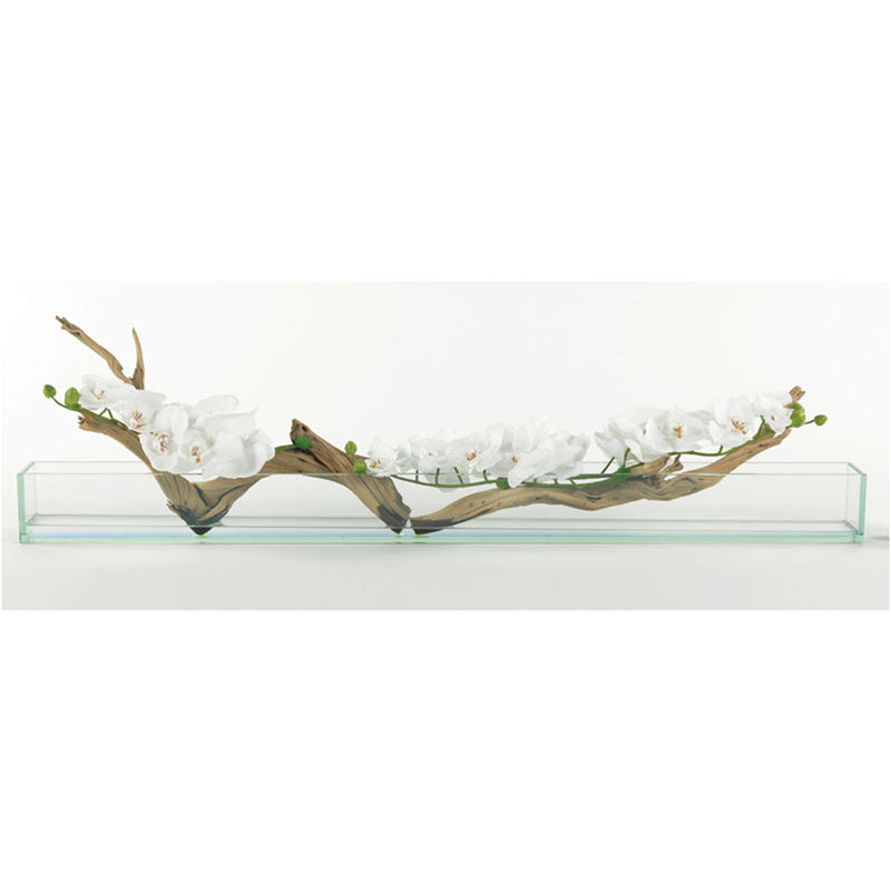 WR092B8 White Phalaenopsis with Ghost Wood in Xl Rectangle - Nabco Furniture Center